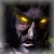 Romangex